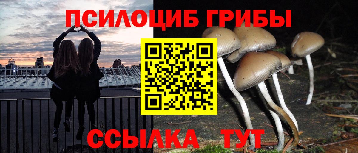 Галлюциногенные грибы ЛСД Котовск
