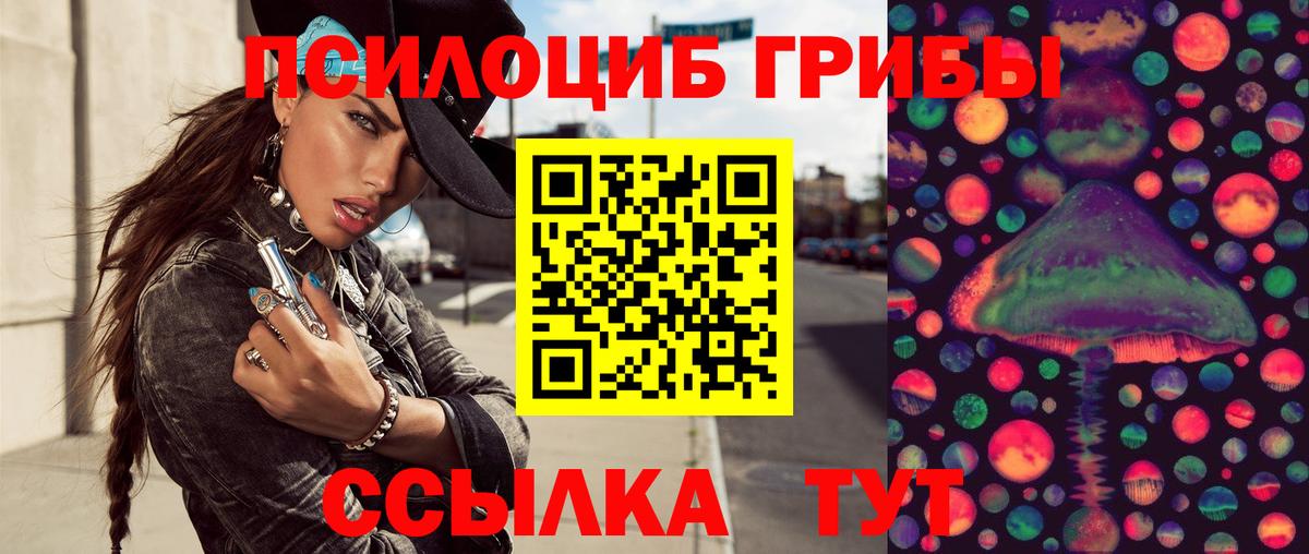 Котовск  Галлюциногенные грибы Cubensis  Вход с VPN 